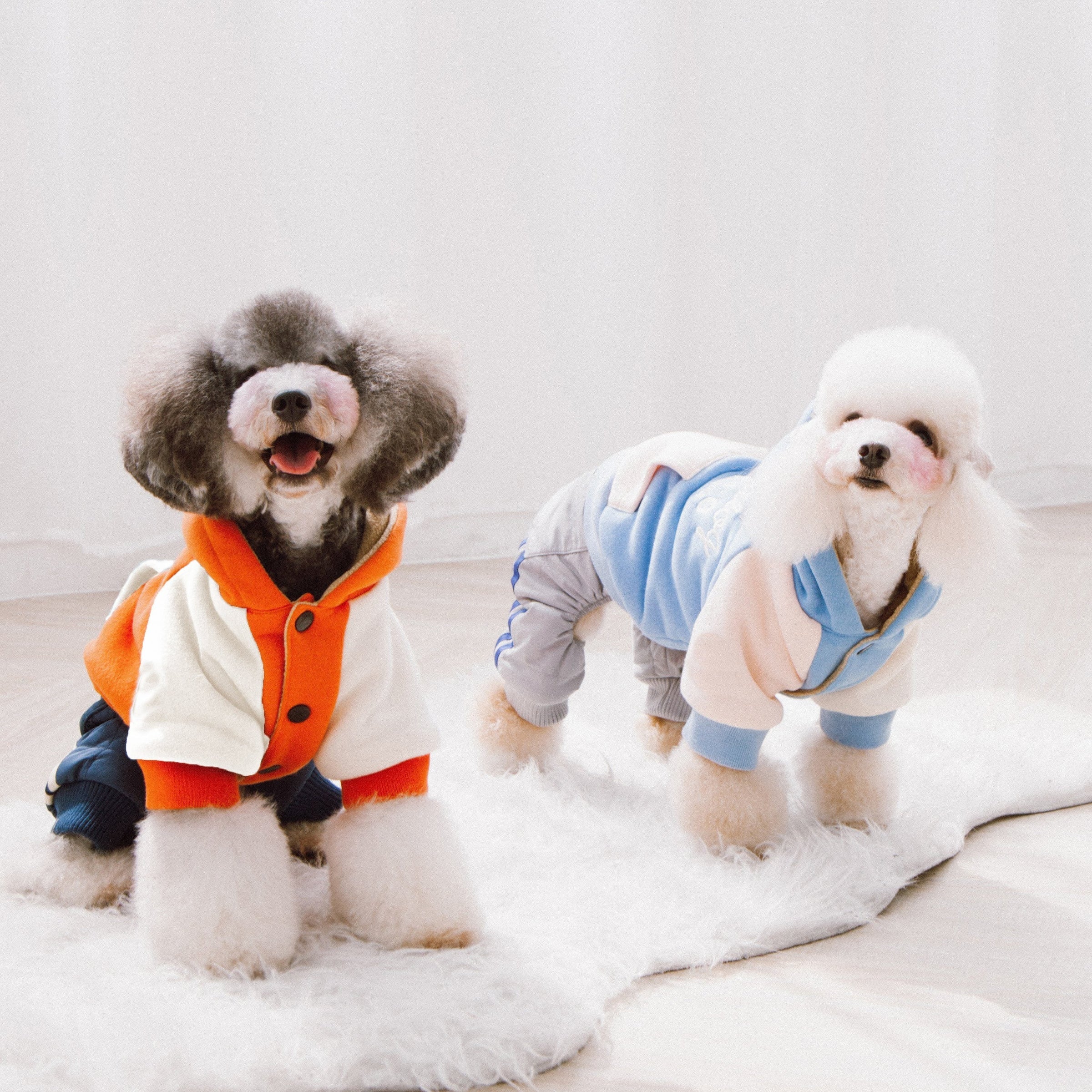 Touchdog 'Heritage' Soft-Cotton Fashion Dog Hoodie Sweater - BIG FRENCHIES