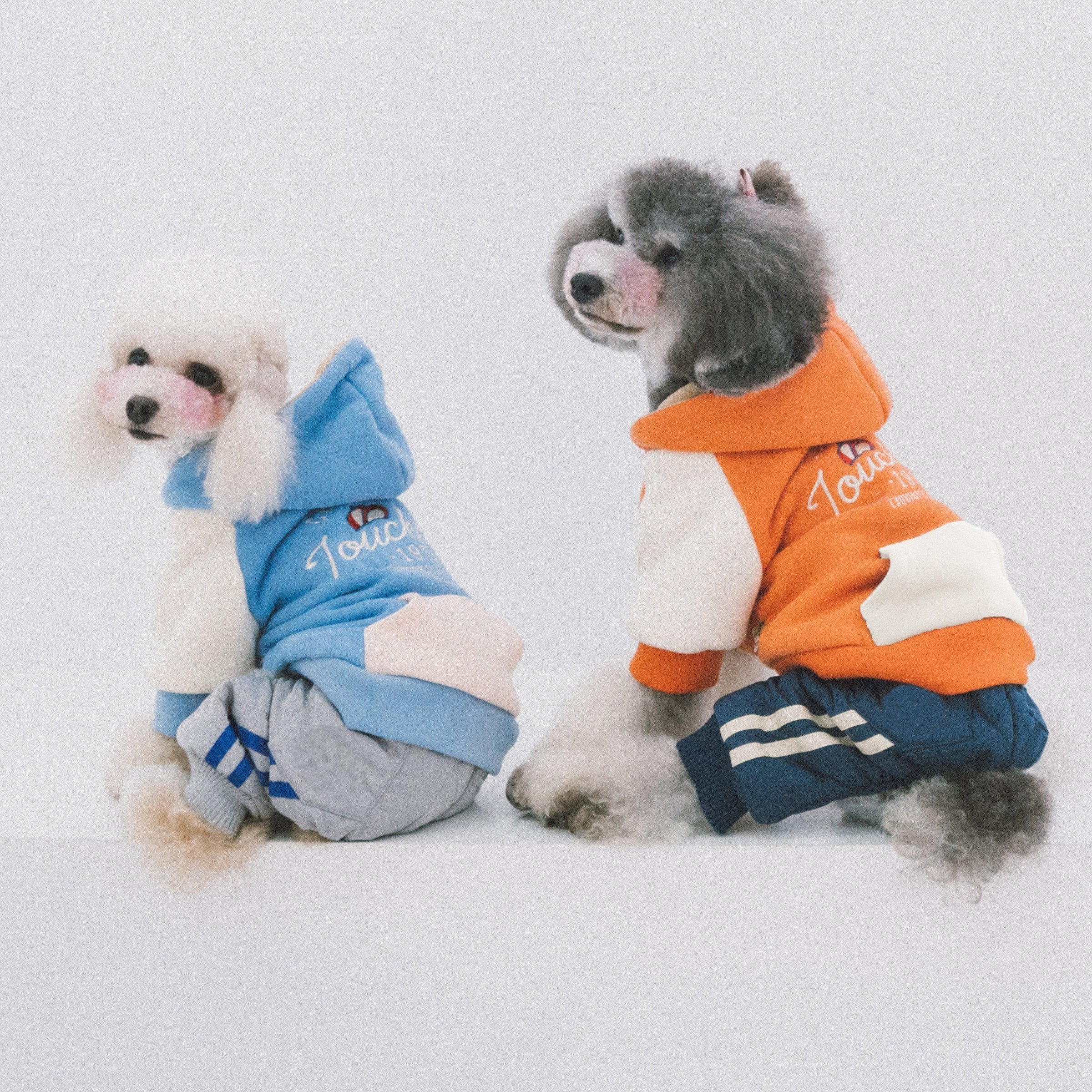 Touchdog 'Heritage' Soft-Cotton Fashion Dog Hoodie Sweater - BIG FRENCHIES