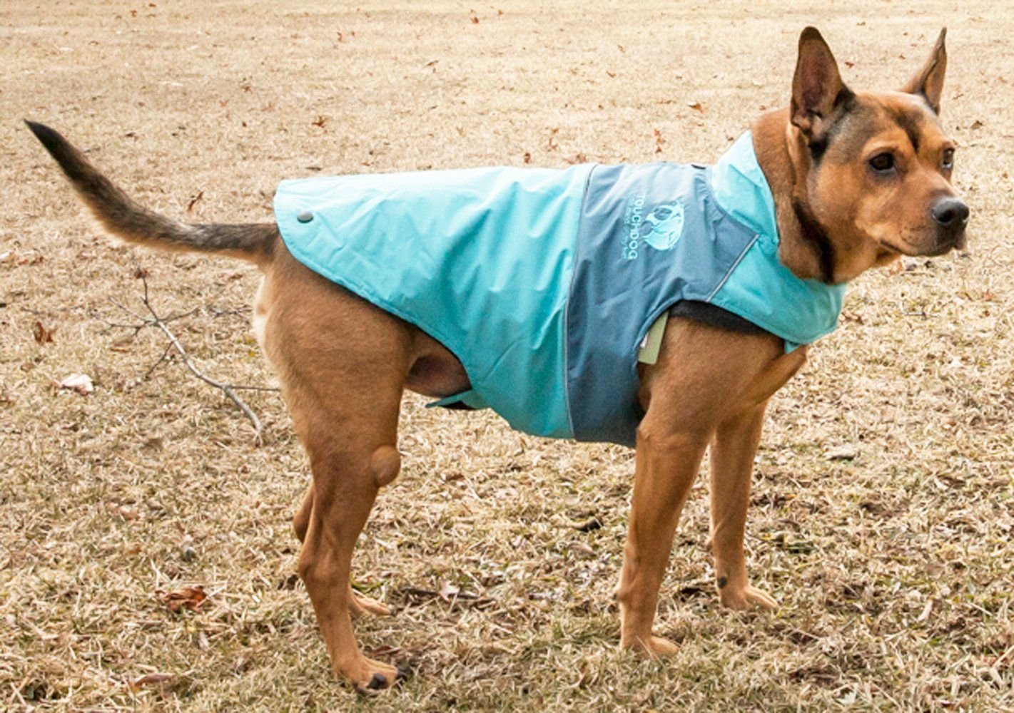 Touchdog ® Lightening-Shield 2-in-1 Dual-Removable-Layered Waterproof Dog Jacket - BIG FRENCHIES