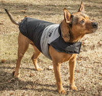 Touchdog ® Lightening-Shield 2-in-1 Dual-Removable-Layered Waterproof Dog Jacket - BIG FRENCHIES