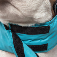 Touchdog ® Lightening-Shield 2-in-1 Dual-Removable-Layered Waterproof Dog Jacket - BIG FRENCHIES