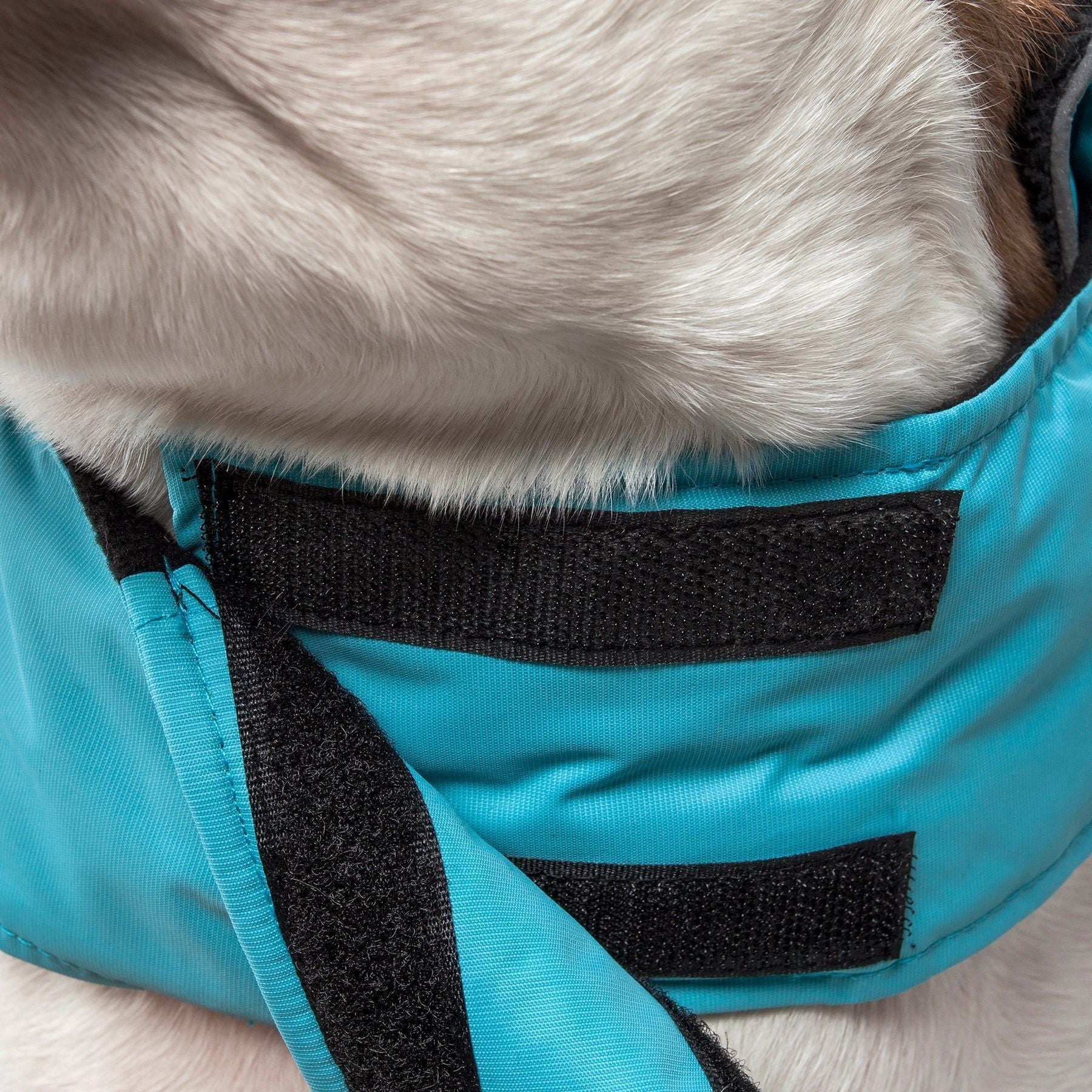 Touchdog ® Lightening-Shield 2-in-1 Dual-Removable-Layered Waterproof Dog Jacket - BIG FRENCHIES