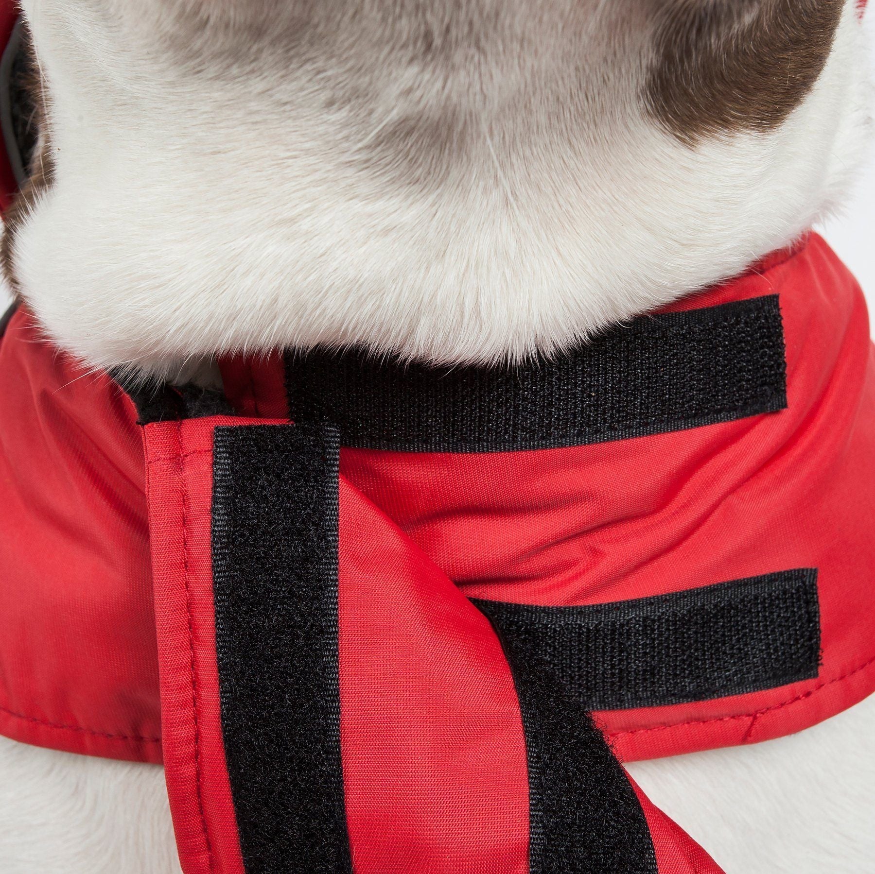 Touchdog ® Lightening-Shield 2-in-1 Dual-Removable-Layered Waterproof Dog Jacket - BIG FRENCHIES