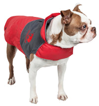 Touchdog ® Lightening-Shield 2-in-1 Dual-Removable-Layered Waterproof Dog Jacket - BIG FRENCHIES