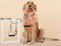 Touchdog ® 'Macaron' 2-in-1 Durable Nylon Dog Harness and Leash - BIG FRENCHIES