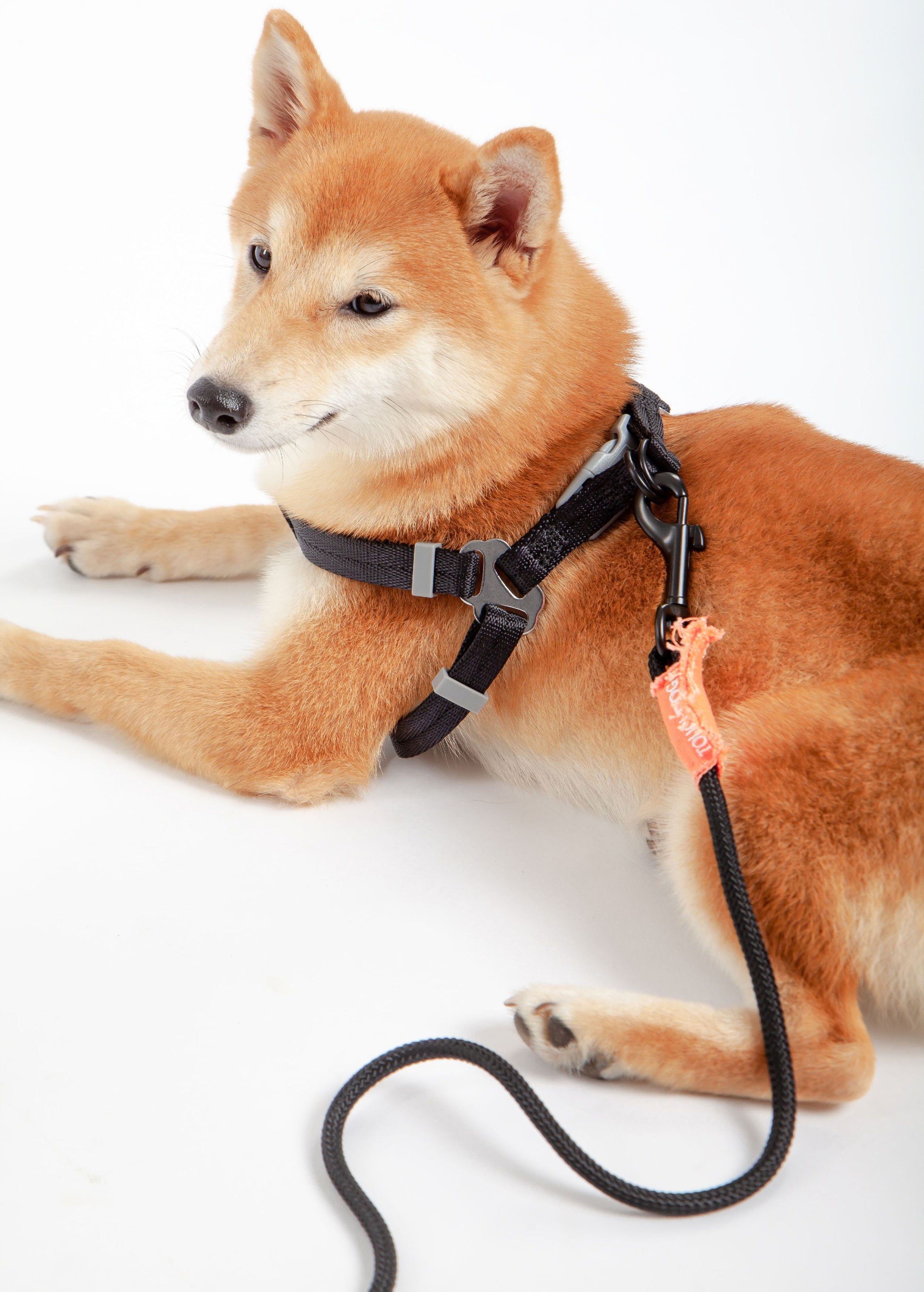 Touchdog ® 'Macaron' 2-in-1 Durable Nylon Dog Harness and Leash - BIG FRENCHIES