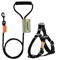 Touchdog ® 'Macaron' 2-in-1 Durable Nylon Dog Harness and Leash - BIG FRENCHIES