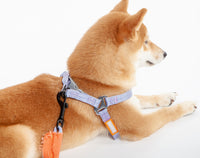 Touchdog ® 'Macaron' 2-in-1 Durable Nylon Dog Harness and Leash - BIG FRENCHIES