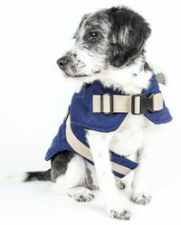Touchdog ® Original Sherpa-Bark Designer Fashion Dog Coat - BIG FRENCHIES