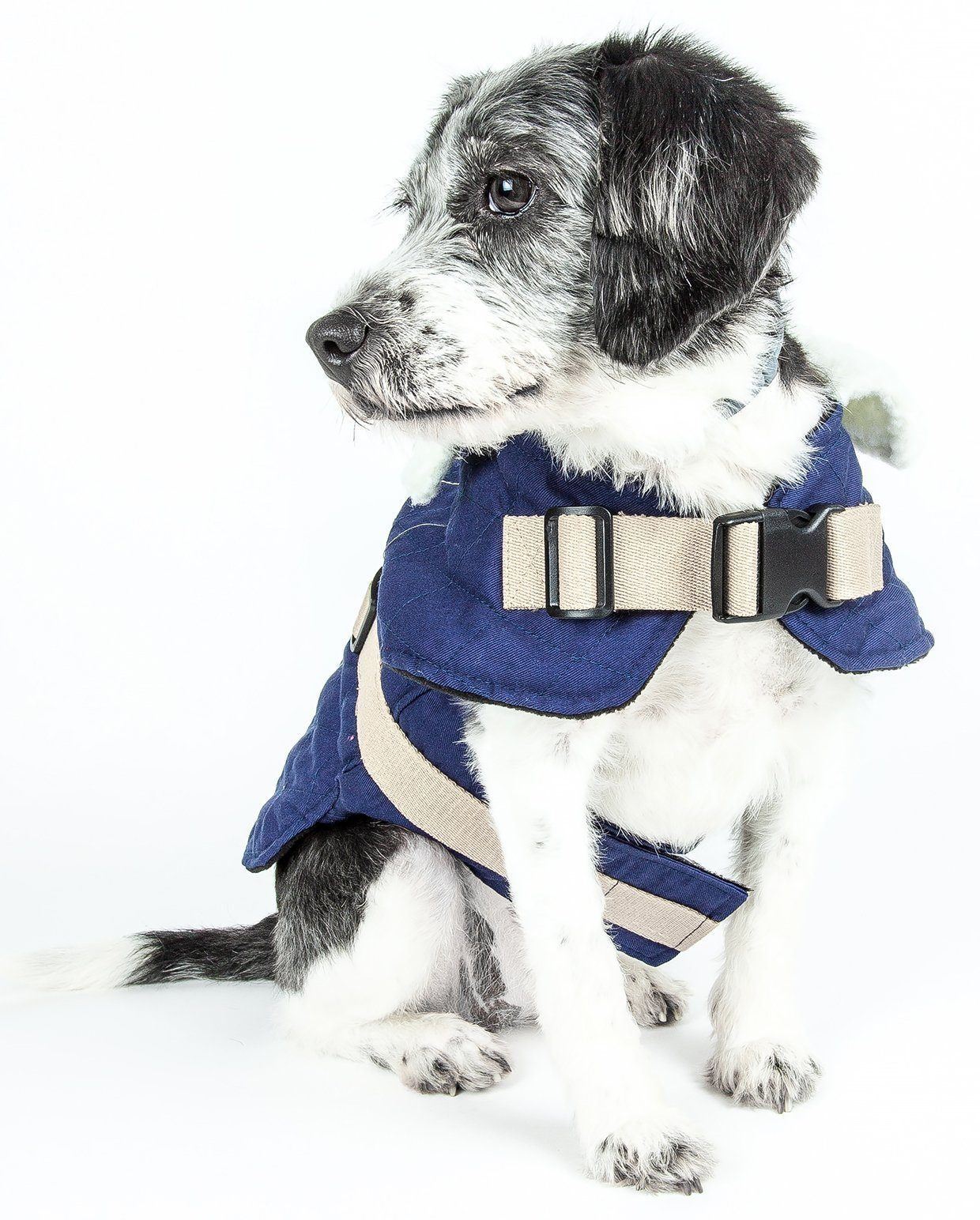 Touchdog ® Original Sherpa-Bark Designer Fashion Dog Coat - BIG FRENCHIES