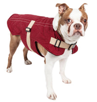 Touchdog ® Original Sherpa-Bark Designer Fashion Dog Coat - BIG FRENCHIES