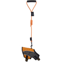 Touchdog ® 'Reflective-Max' 2-in-1 Performance Dog Harness and Leash - BIG FRENCHIES