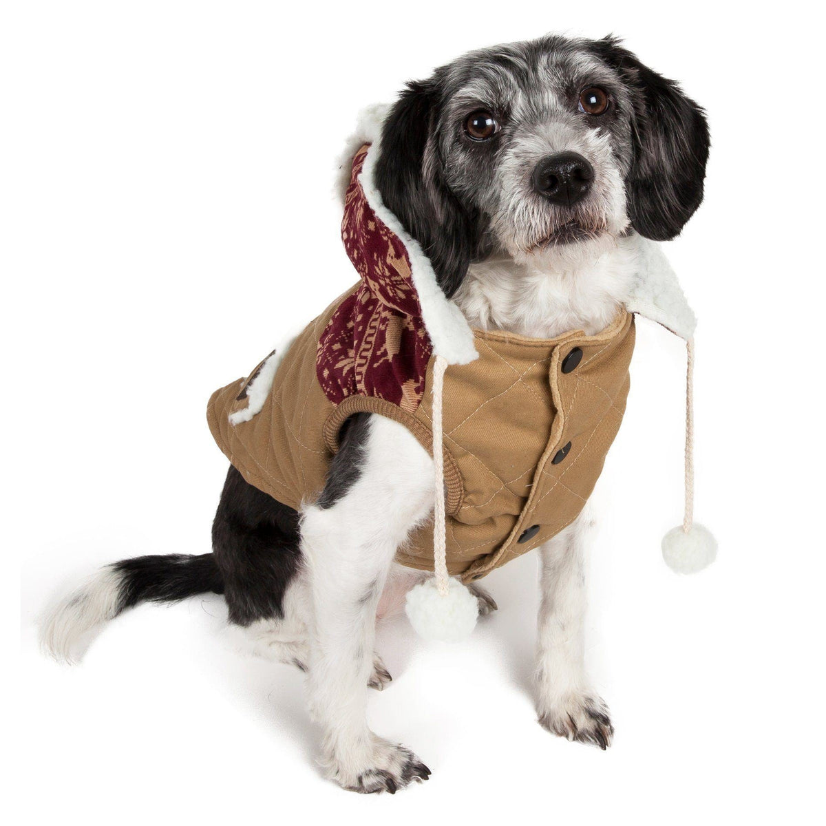 Touchdog ® 'Snowadayz' Pom Pom Hooded Fashion Dog Jacket - BIG FRENCHIES