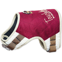 Touchdog ® 'Tough-Boutique' 2-in-1 Adjustable Fashion Dog Harness and Leash - BIG FRENCHIES
