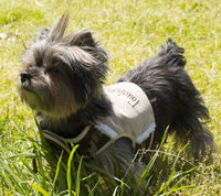 Touchdog ® 'Tough-Boutique' 2-in-1 Adjustable Fashion Dog Harness and Leash - BIG FRENCHIES
