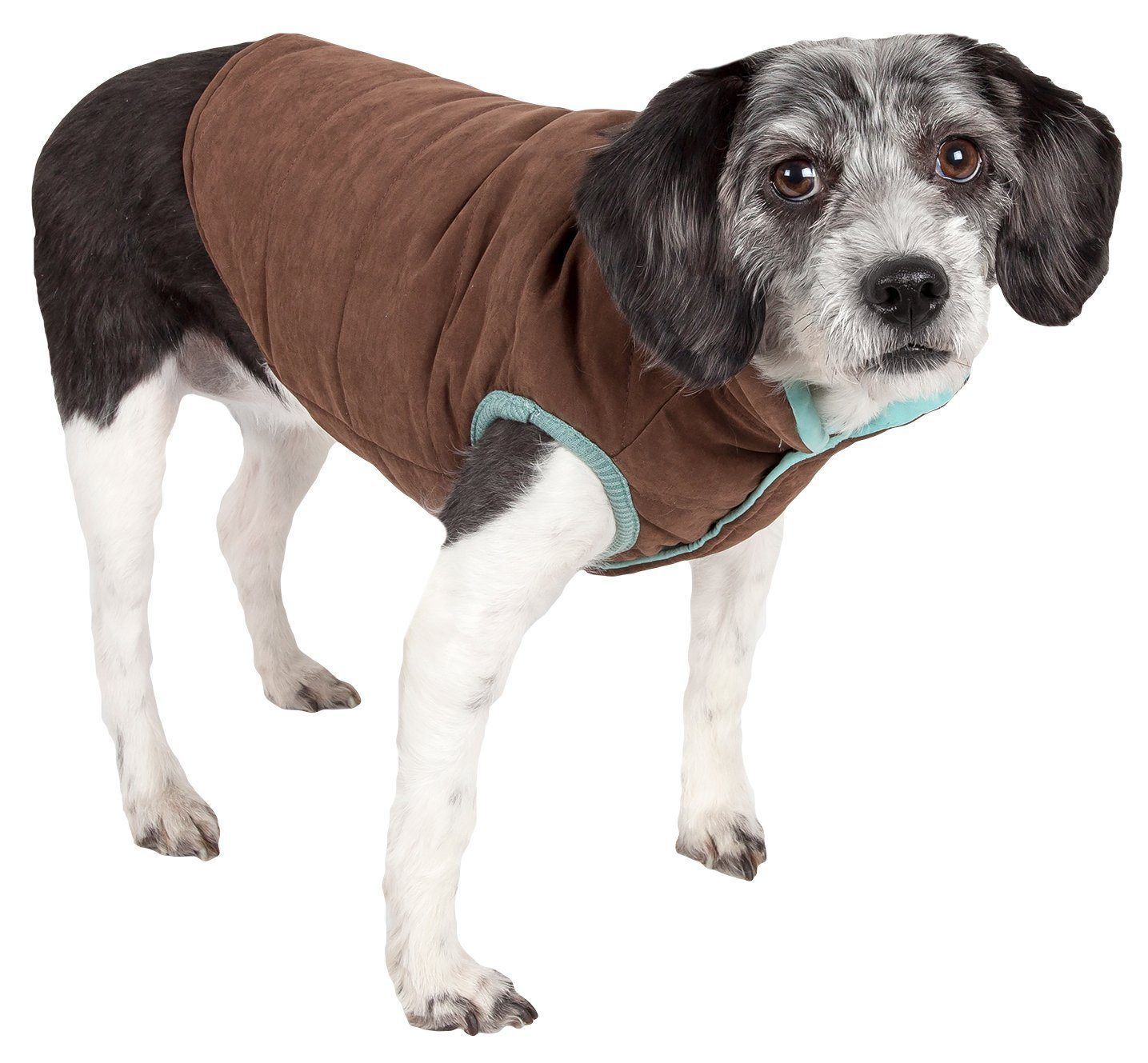 Touchdog ® Waggin Swag Ultra-Plush Insulated and Reversible Dog Coat - BIG FRENCHIES
