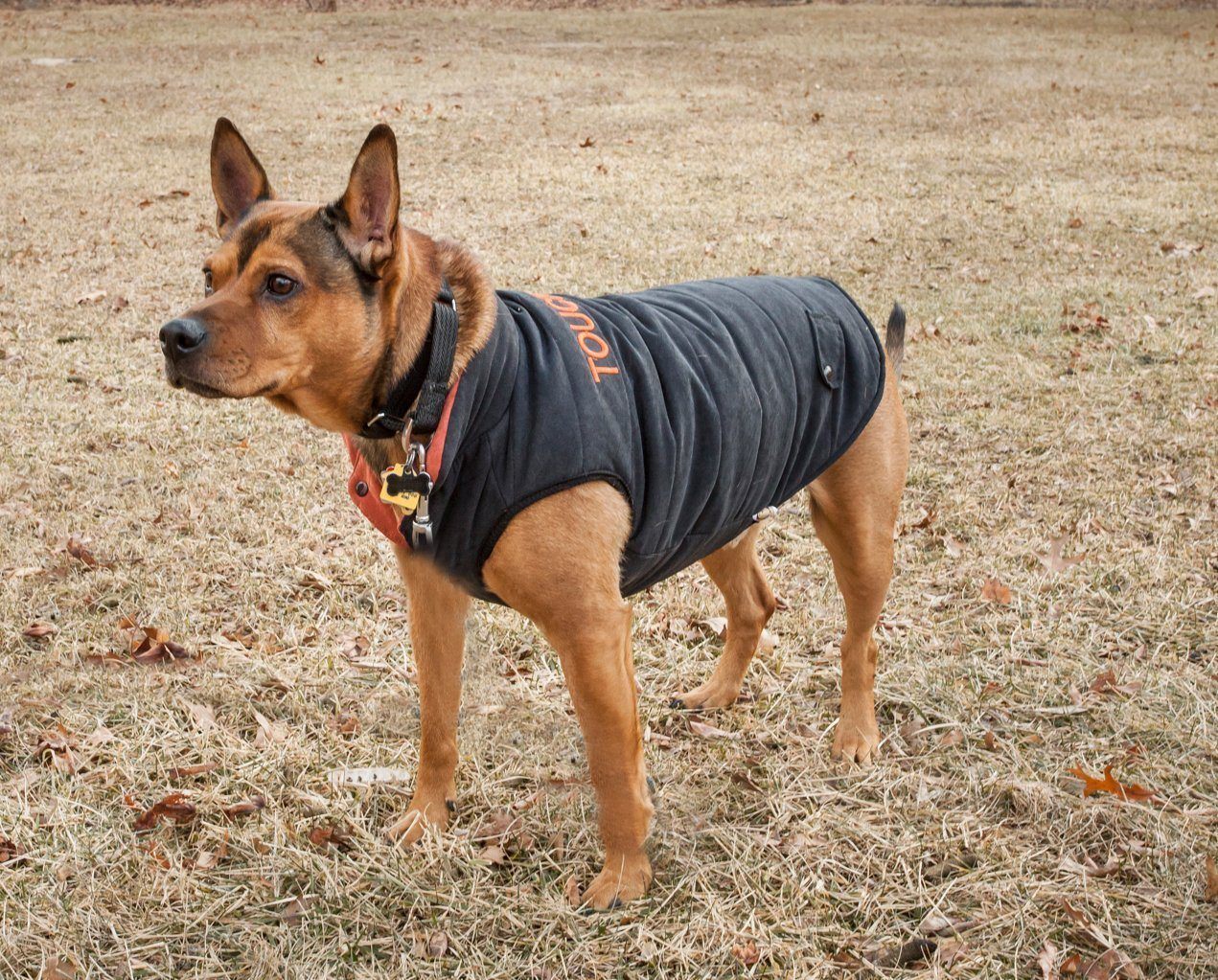 Touchdog ® Waggin Swag Ultra-Plush Insulated and Reversible Dog Coat - BIG FRENCHIES