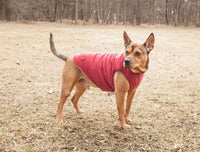 Touchdog ® Waggin Swag Ultra-Plush Insulated and Reversible Dog Coat - BIG FRENCHIES