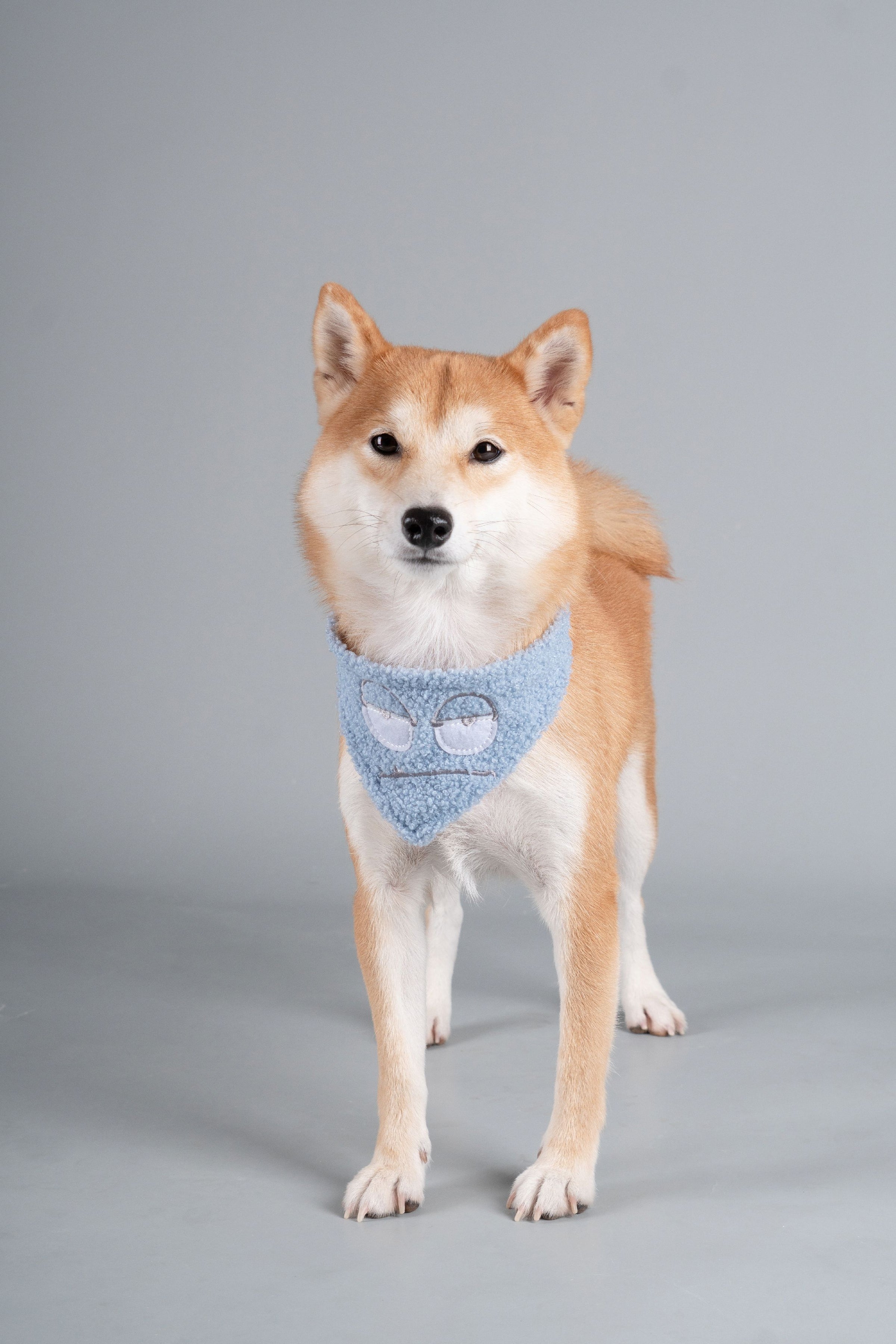 Touchdog ®'Dizzy-Eyed Cyclops' Cotton Hook-and-Loop Dog Bandana and Scarf - BIG FRENCHIES