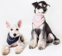 Touchdog ®'Dizzy-Eyed Cyclops' Cotton Hook-and-Loop Dog Bandana and Scarf - BIG FRENCHIES