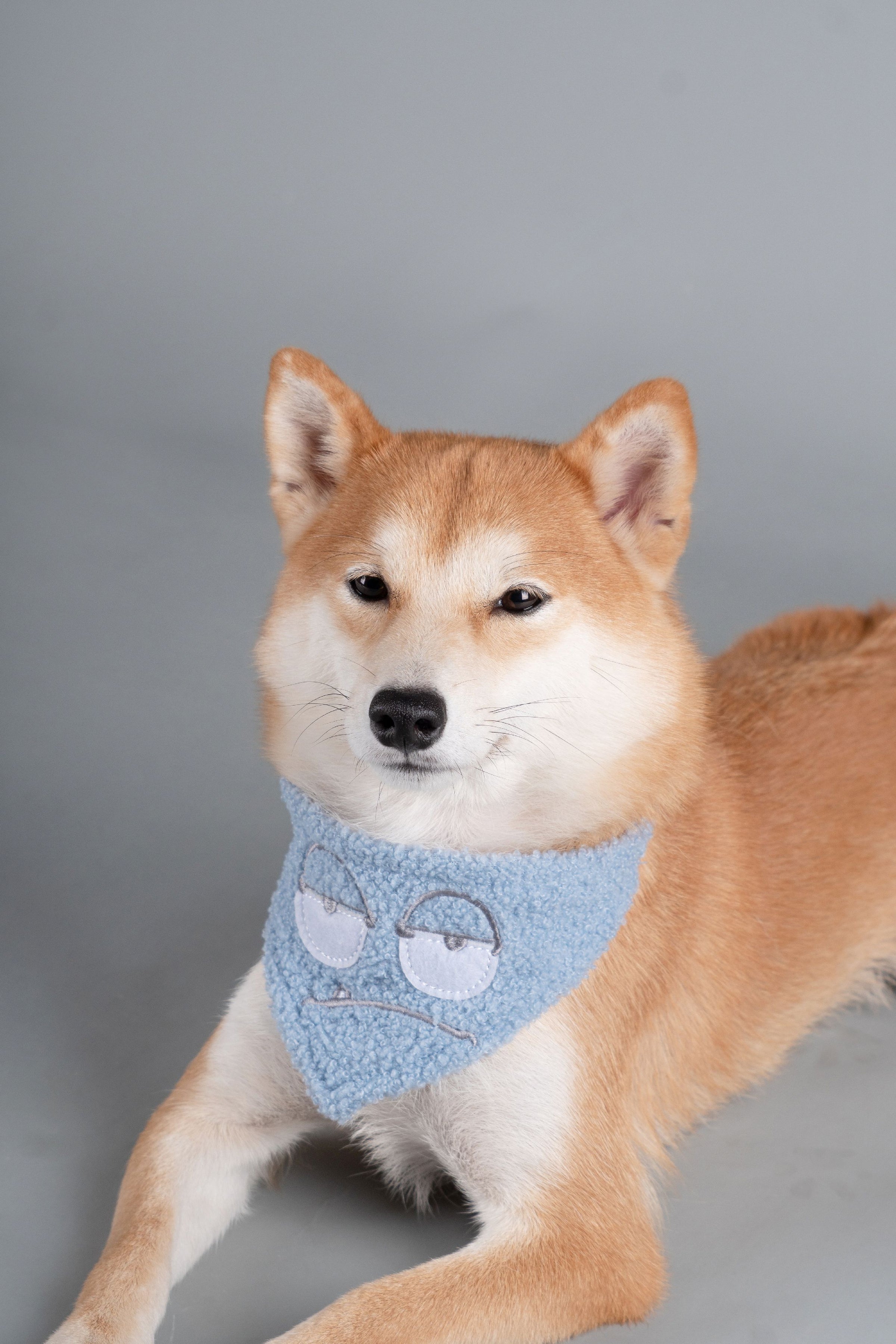 Touchdog ®'Dizzy-Eyed Cyclops' Cotton Hook-and-Loop Dog Bandana and Scarf - BIG FRENCHIES