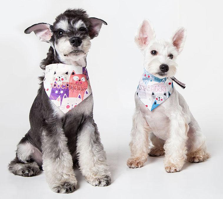 Touchdog ®'Head-Popper' Fashion Designer Printed Hook-and-Loop Dog Bandana - BIG FRENCHIES
