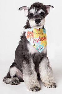 Touchdog ®'Head-Popper' Fashion Designer Printed Hook-and-Loop Dog Bandana - BIG FRENCHIES