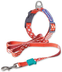 Touchdog ®'Trendzy' 2-in-1 Matching Fashion Designer Printed Dog Leash and Collar - BIG FRENCHIES
