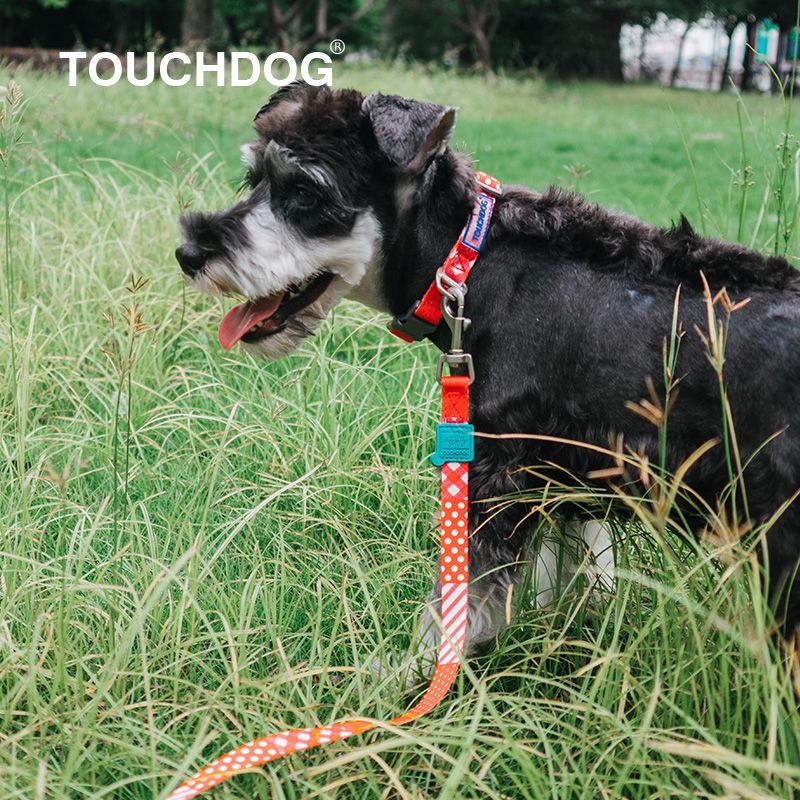 Touchdog ®'Trendzy' 2-in-1 Matching Fashion Designer Printed Dog Leash and Collar - BIG FRENCHIES