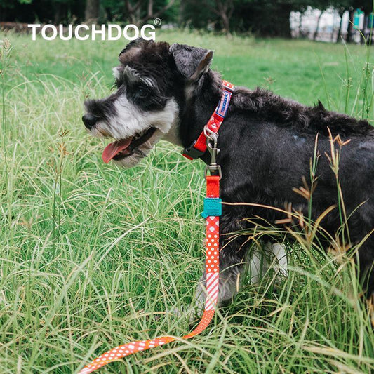 Touchdog ®'Trendzy' 2-in-1 Matching Fashion Designer Printed Dog Leash and Collar - BIG FRENCHIES