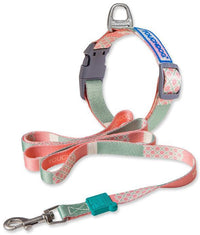 Touchdog ®'Trendzy' 2-in-1 Matching Fashion Designer Printed Dog Leash and Collar - BIG FRENCHIES