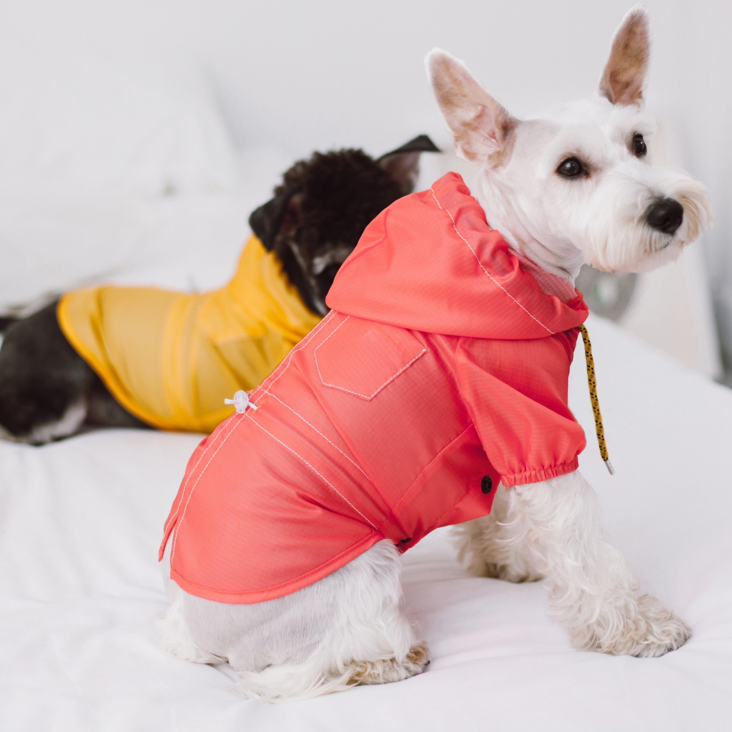 Touchdog Split-Vent Designer Waterproof Dog Raincoat - BIG FRENCHIES
