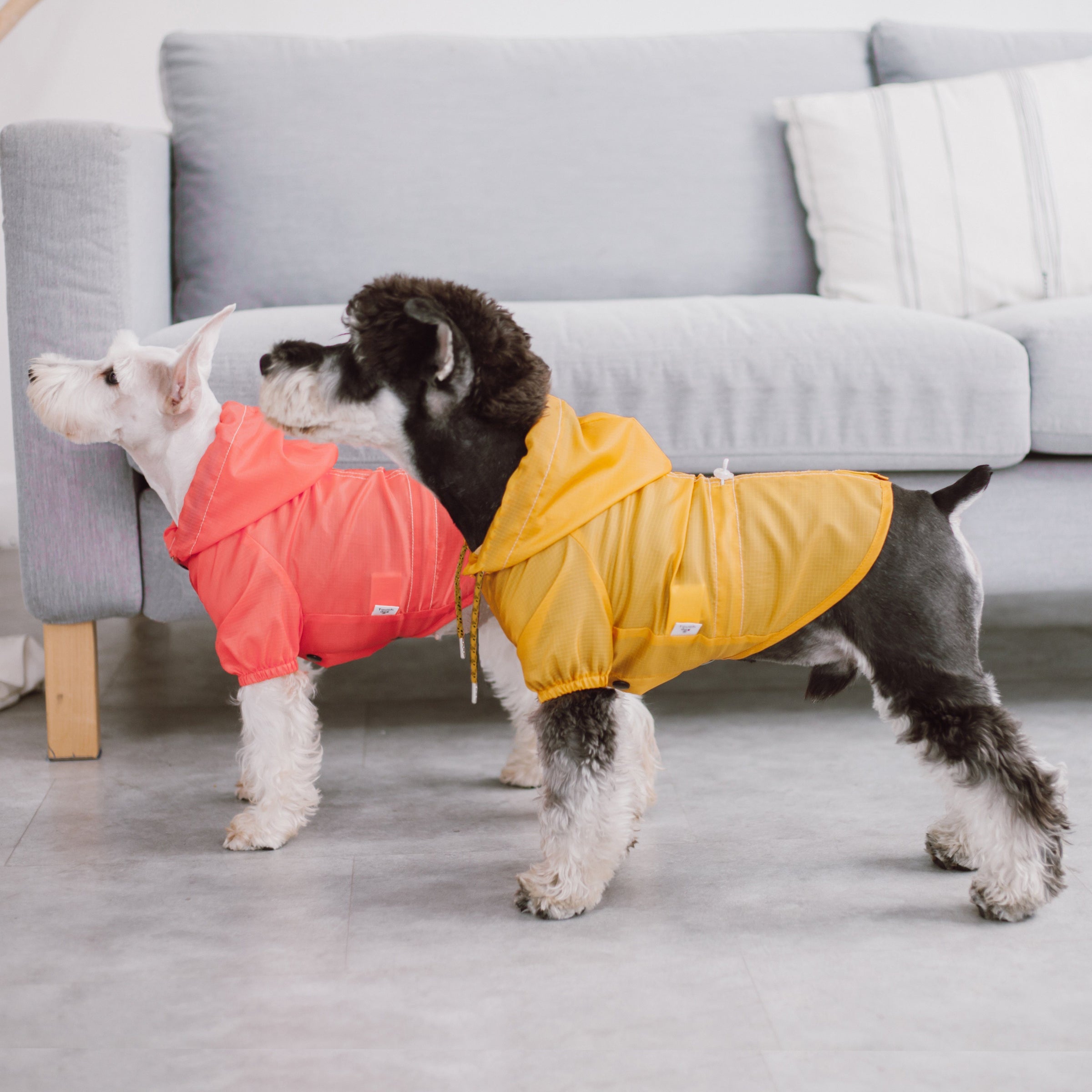 Touchdog Split-Vent Designer Waterproof Dog Raincoat - BIG FRENCHIES