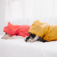 Touchdog Split-Vent Designer Waterproof Dog Raincoat - BIG FRENCHIES
