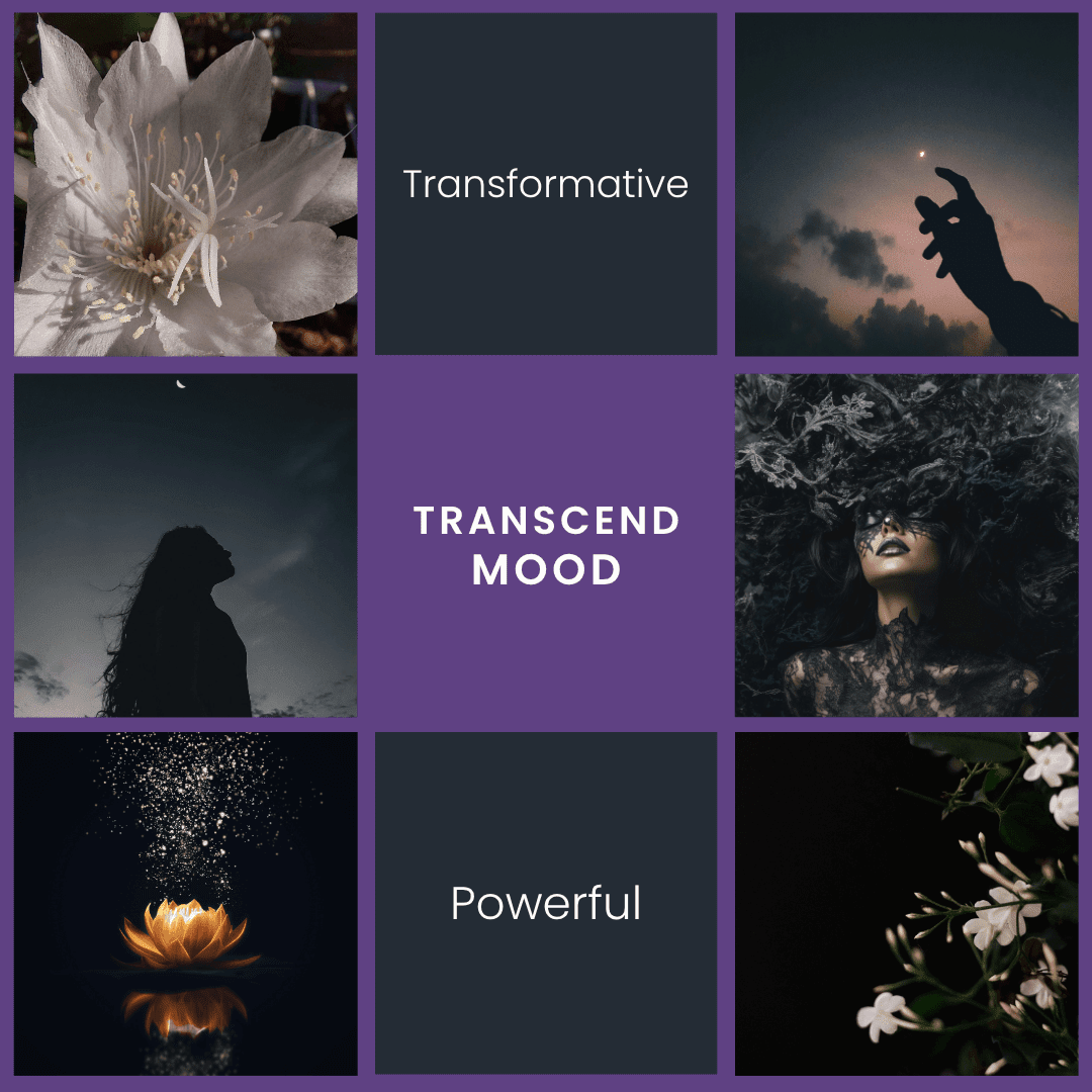 Transcend - Jasmine & Sandalwood Soy Candle - BIG FRENCHIES