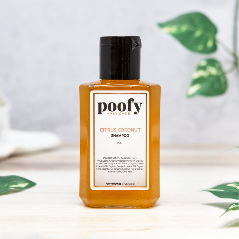 Citrus Coconut Shampoo - Travel - BIG FRENCHIES