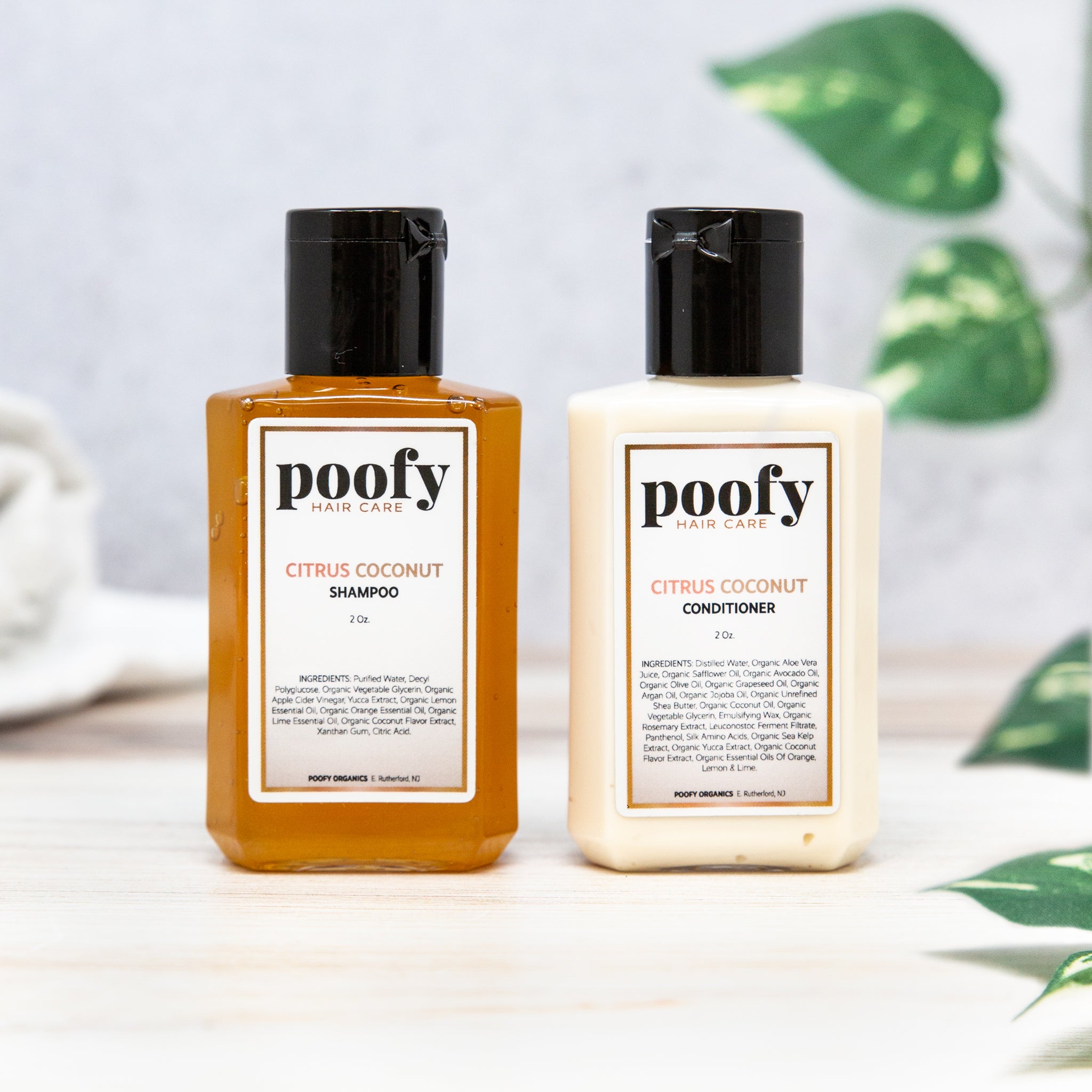 Citrus Coconut Shampoo & Conditioner - Travel Set - BIG FRENCHIES