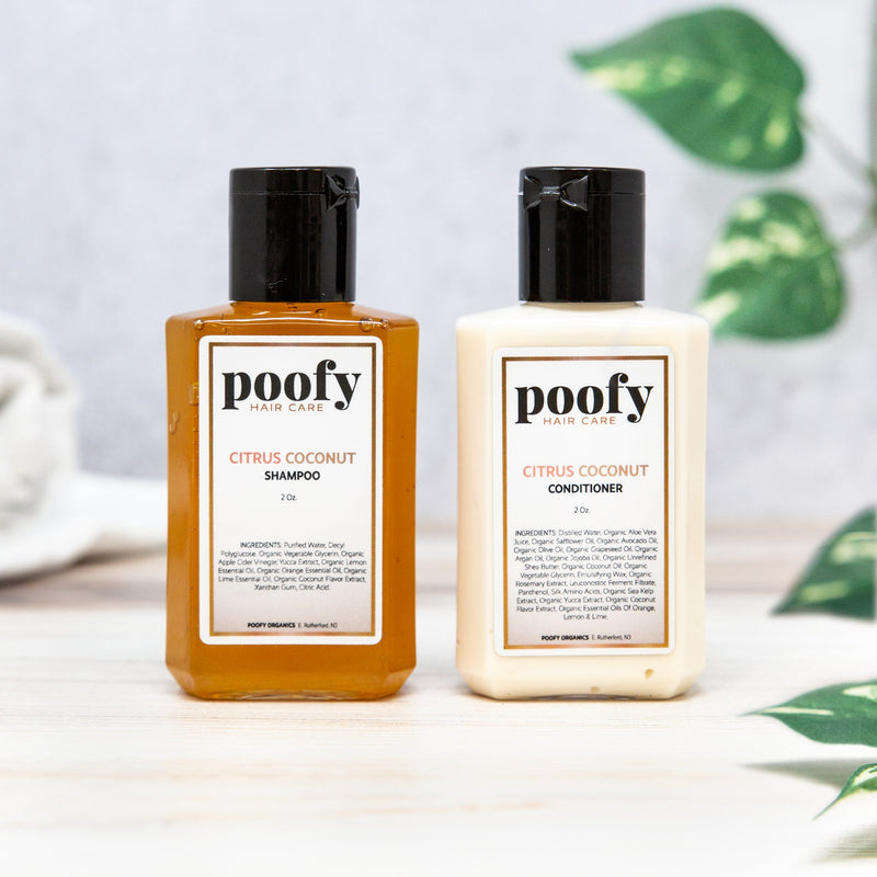 Citrus Coconut Shampoo & Conditioner - Travel Set - BIG FRENCHIES