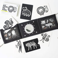 Baby Tummy Time Gallery with Mirror Bundle