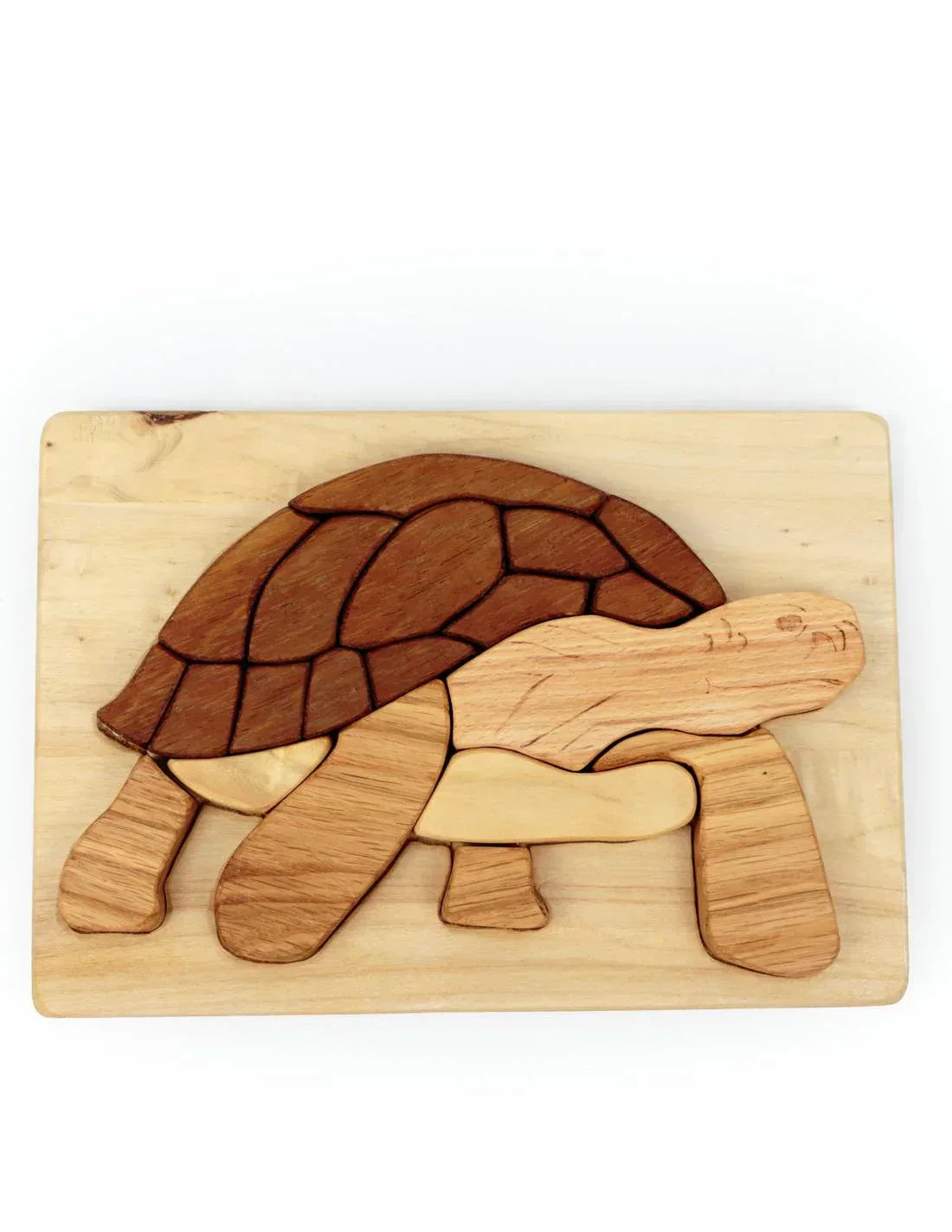 Turtle / Tortoise Wooden Puzzle in Natural Wood - BIG FRENCHIES