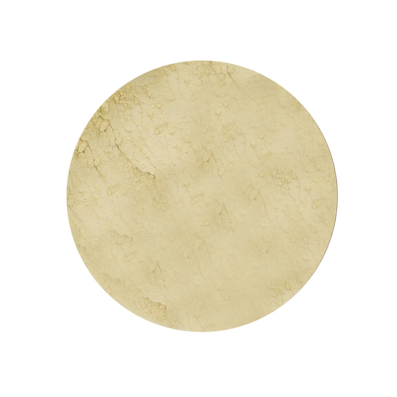 Under Eye Concealer - BIG FRENCHIES