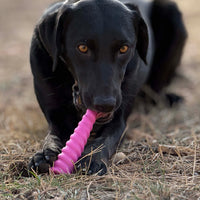 Unicorn Horn Nylon Dog Chew Toy | Durable for Aggressive Chewers | SodaPup - BIG FRENCHIES