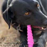 Unicorn Horn Nylon Dog Chew Toy | Durable for Aggressive Chewers | SodaPup - BIG FRENCHIES