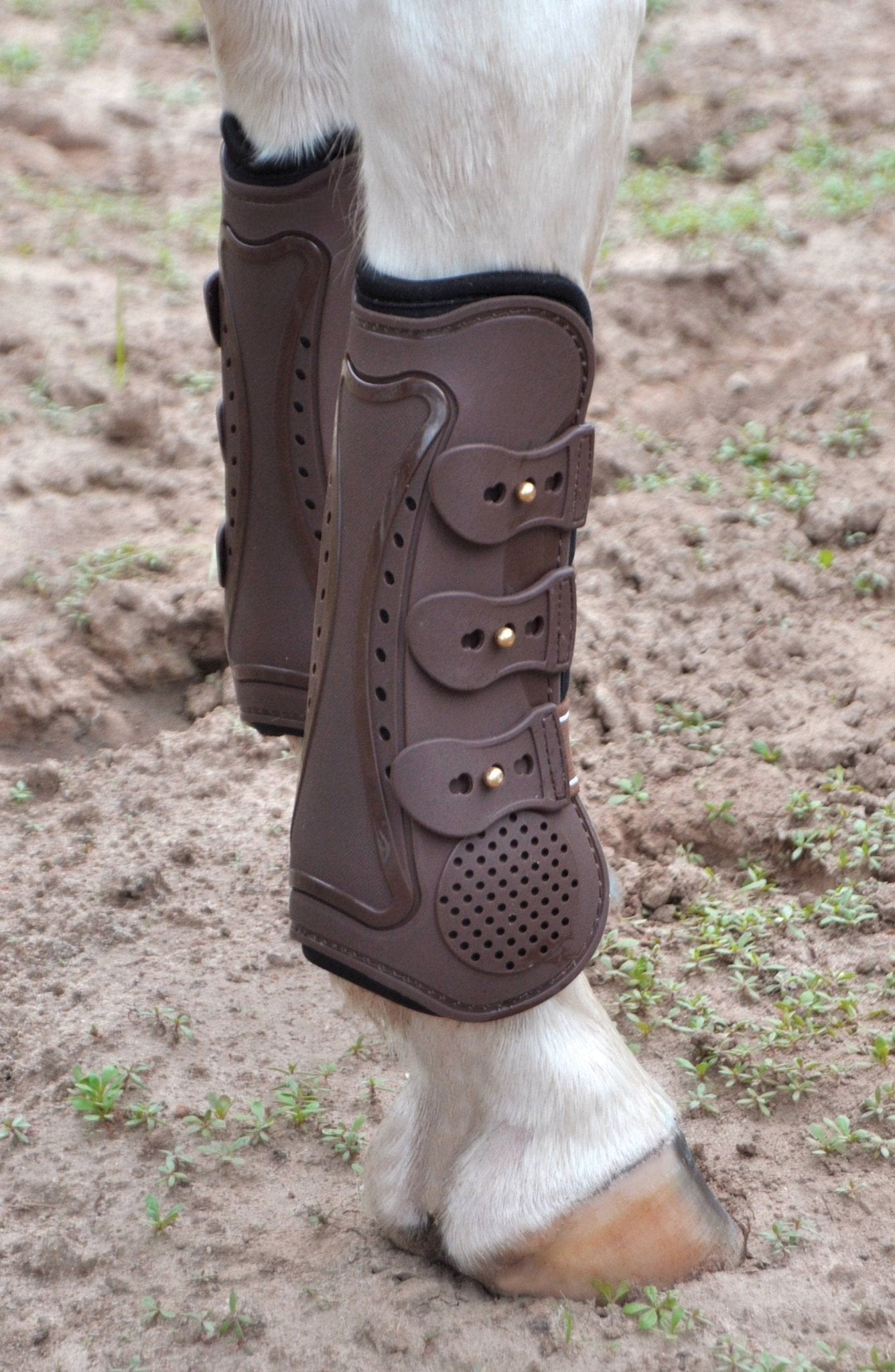Jeffers Uniquely English Horse Tendon Boots, 2-Pack