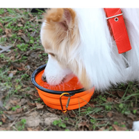 Universal Colorful Collapsible Silicone Dog Food Water Bowl Foldable Cup Dish For Pet Portable Travel Bowl For Dog