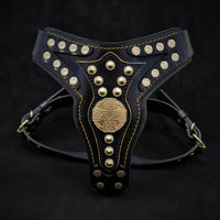 The ''Maximus'' harness V2 Medium Size