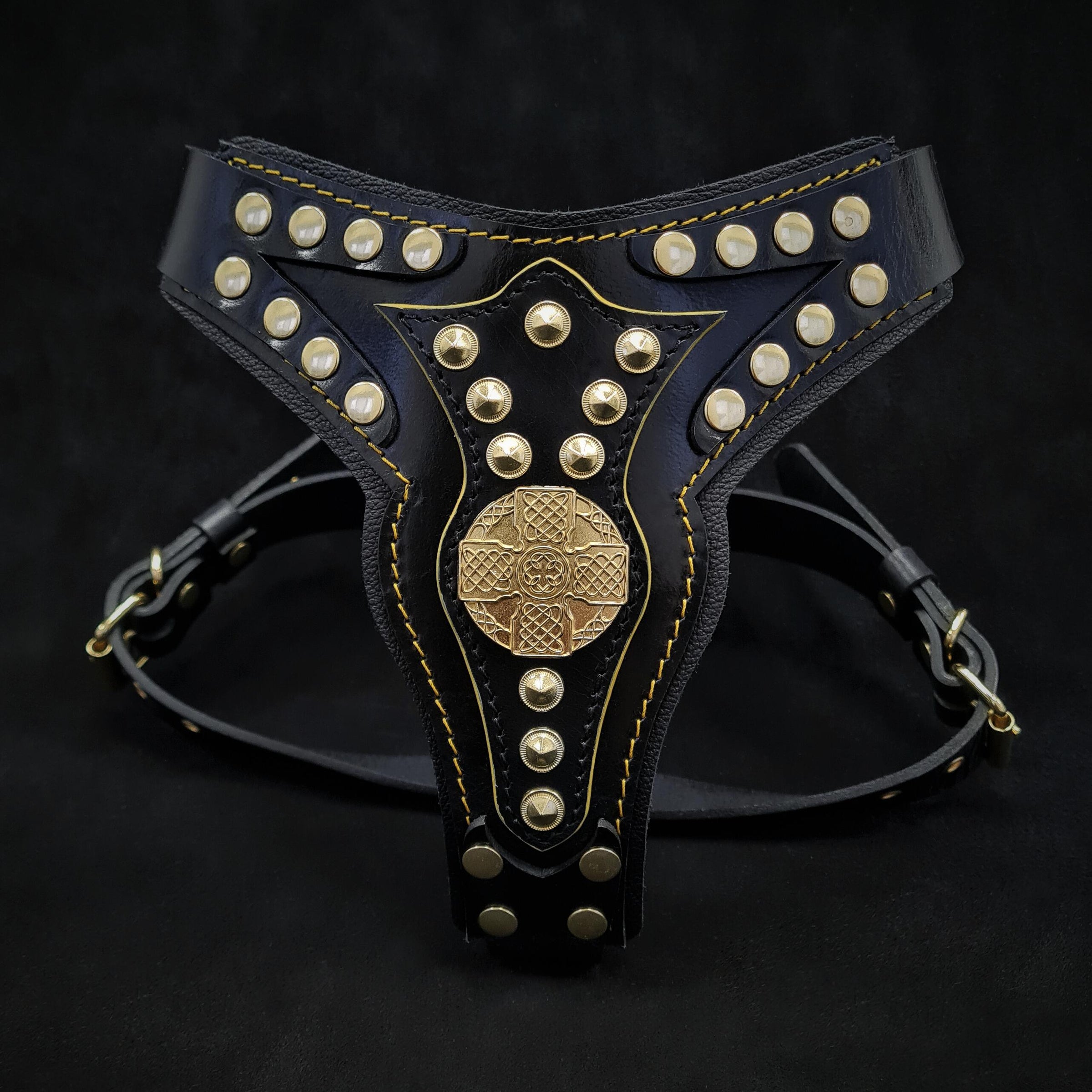 The ''Maximus'' harness V2 Medium Size