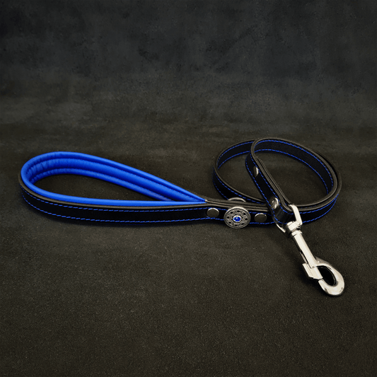 The ''Bijou'' harness Black & Blue Small to Medium Size