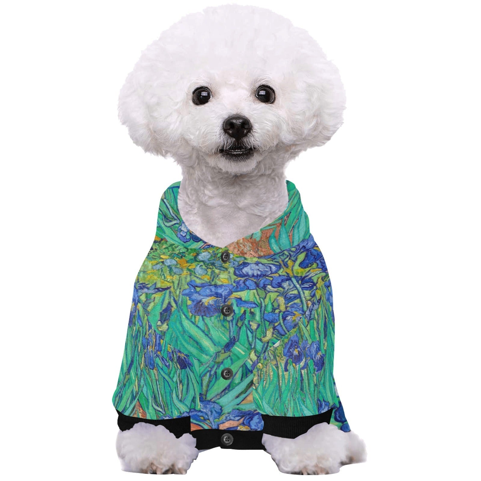 Van Gogh Irises Button Hoodie