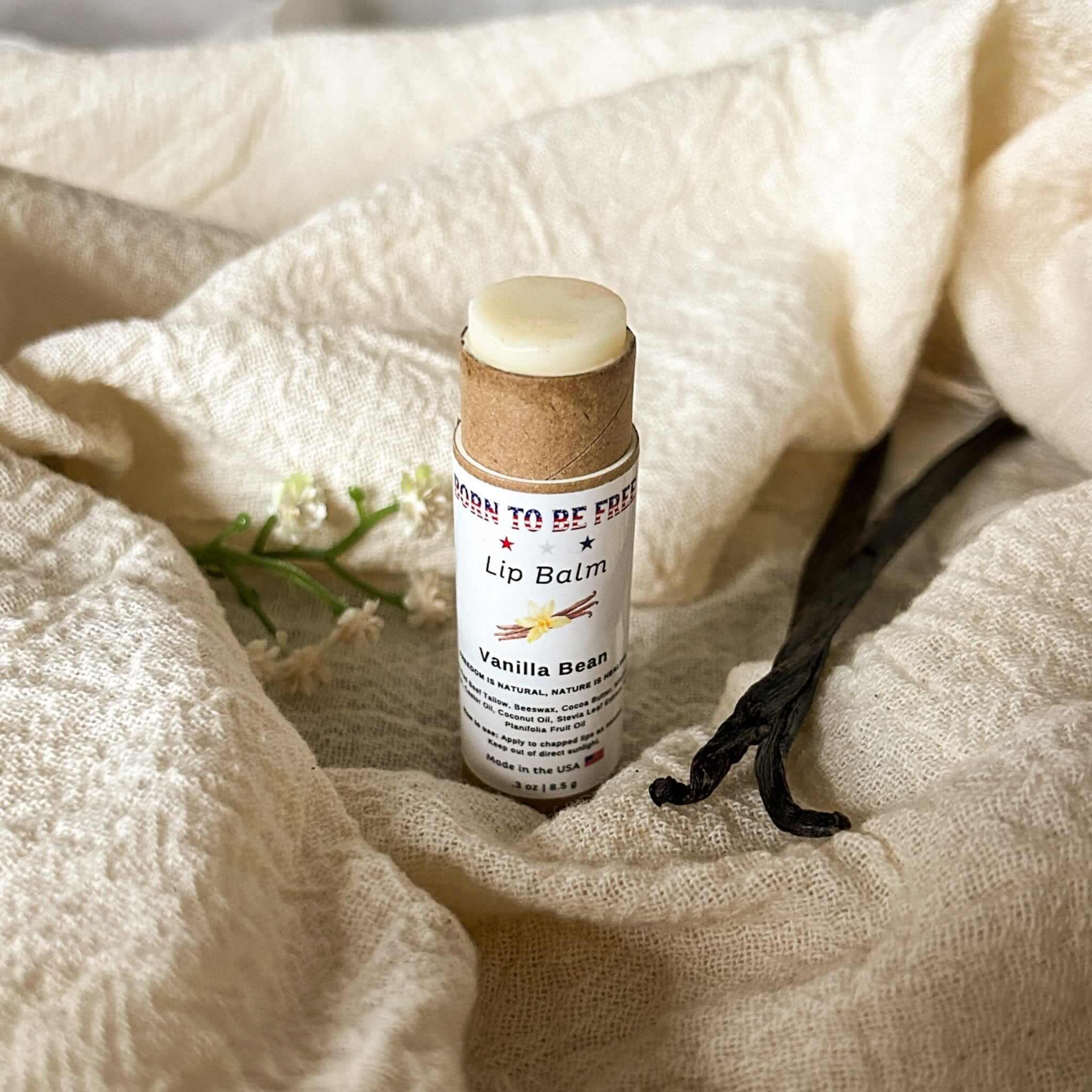 Vanilla Bean Lip Balm - BIG FRENCHIES